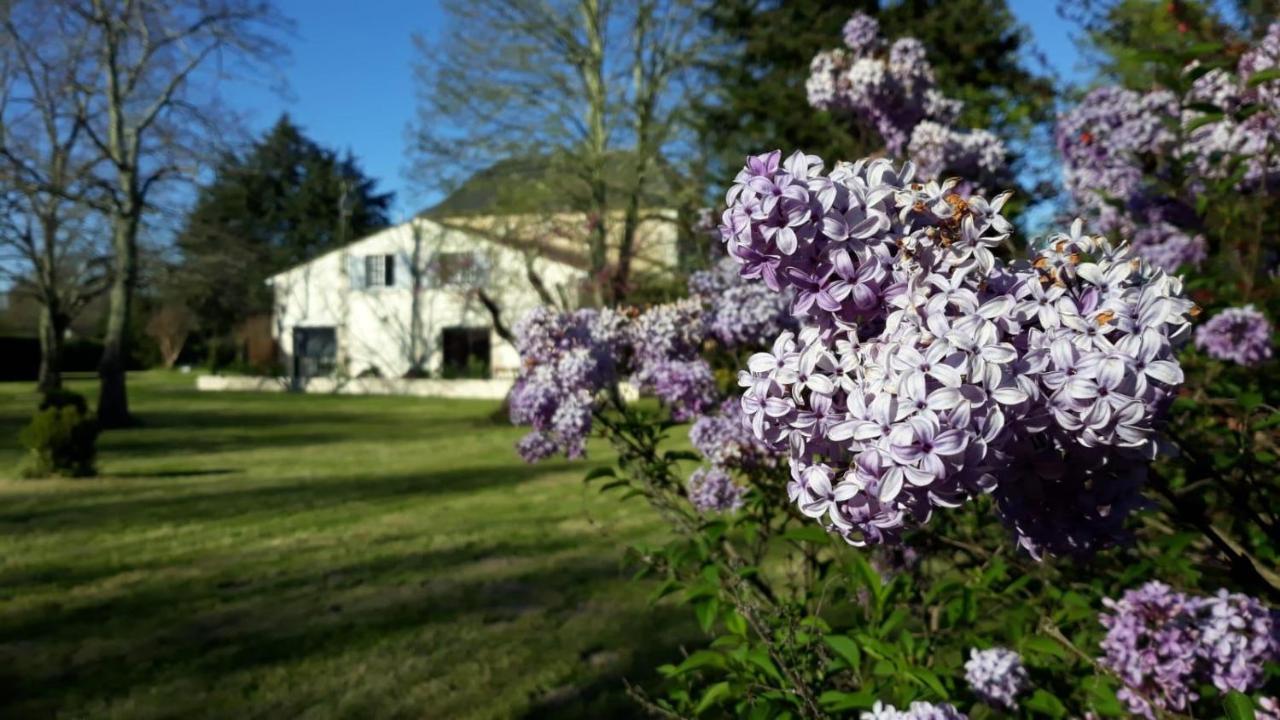 La Maison Du Champ De Beaumont Galgon Zewnętrze zdjęcie